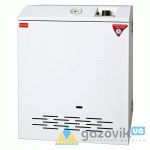 Котел газовий парапетний Колві Eurotherm КТ 08TSY B Стандарт 8 кВт - Котли - Інтернет-магазин Газовик - зменшена копія